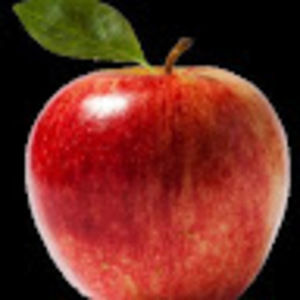 Meet your Posher, A daughter